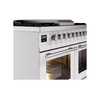 ILVE UPD40FWMPWH Professional Plus II 40" Dual Fuel Range, details