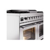 ILVE UPD40FWMPSS Professional Plus II 40" Dual Fuel Range, details