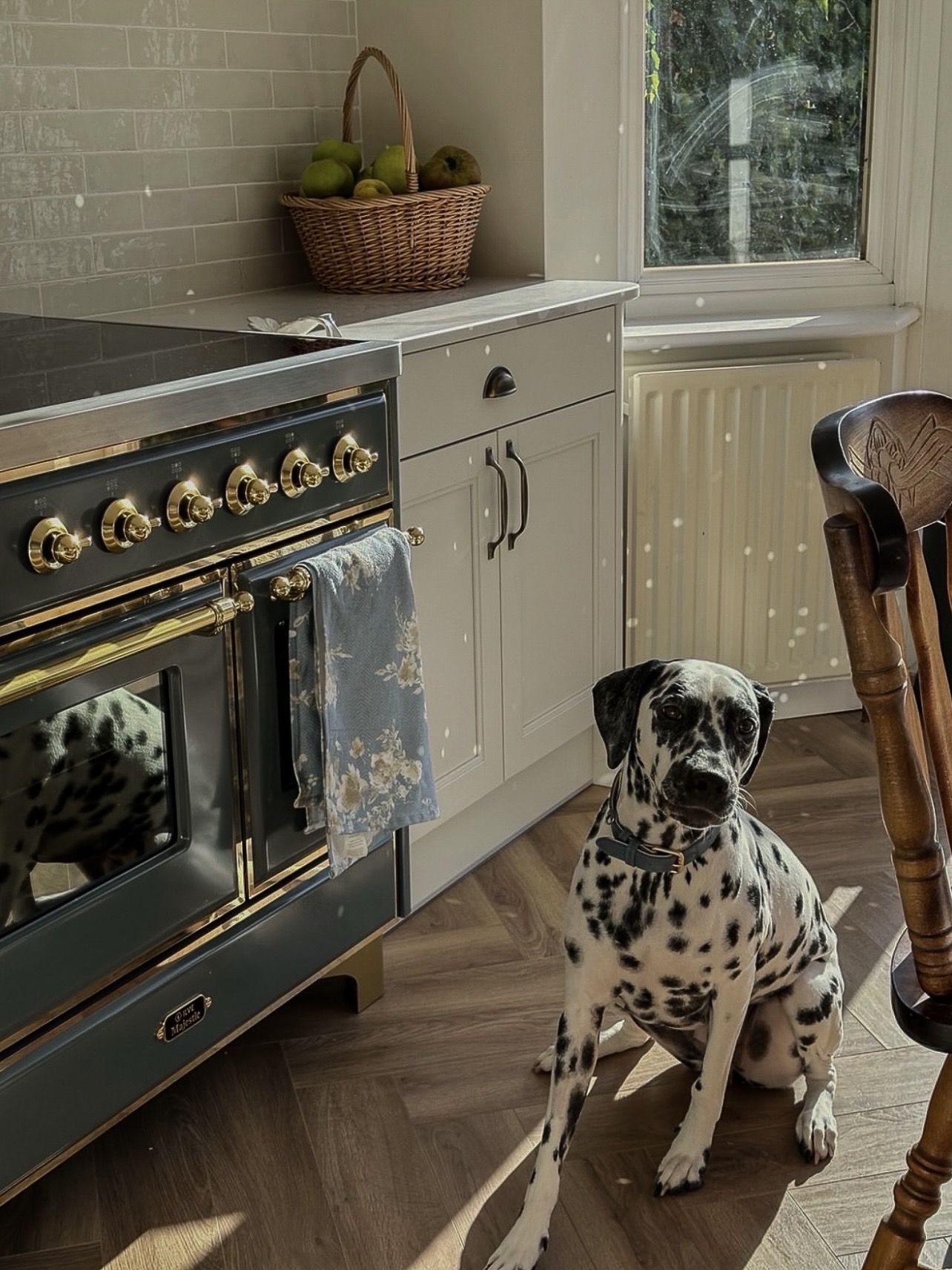 Spacious Yorkshire kitchen with ILVE induction range