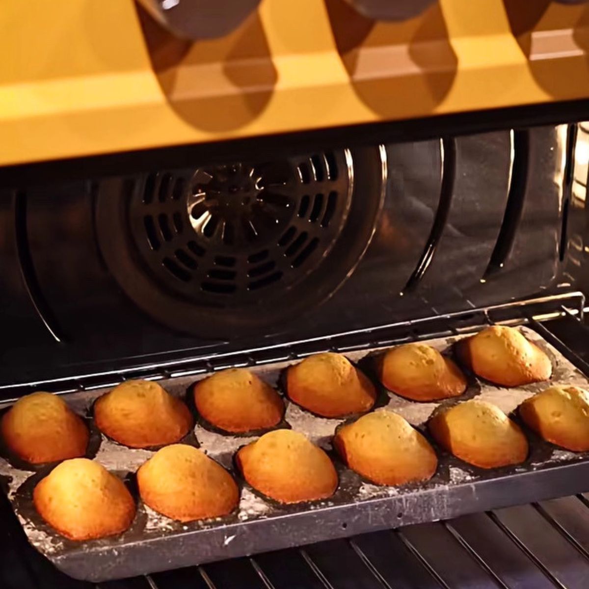 ILVE USA Media Center 35 Classic French Madeleines