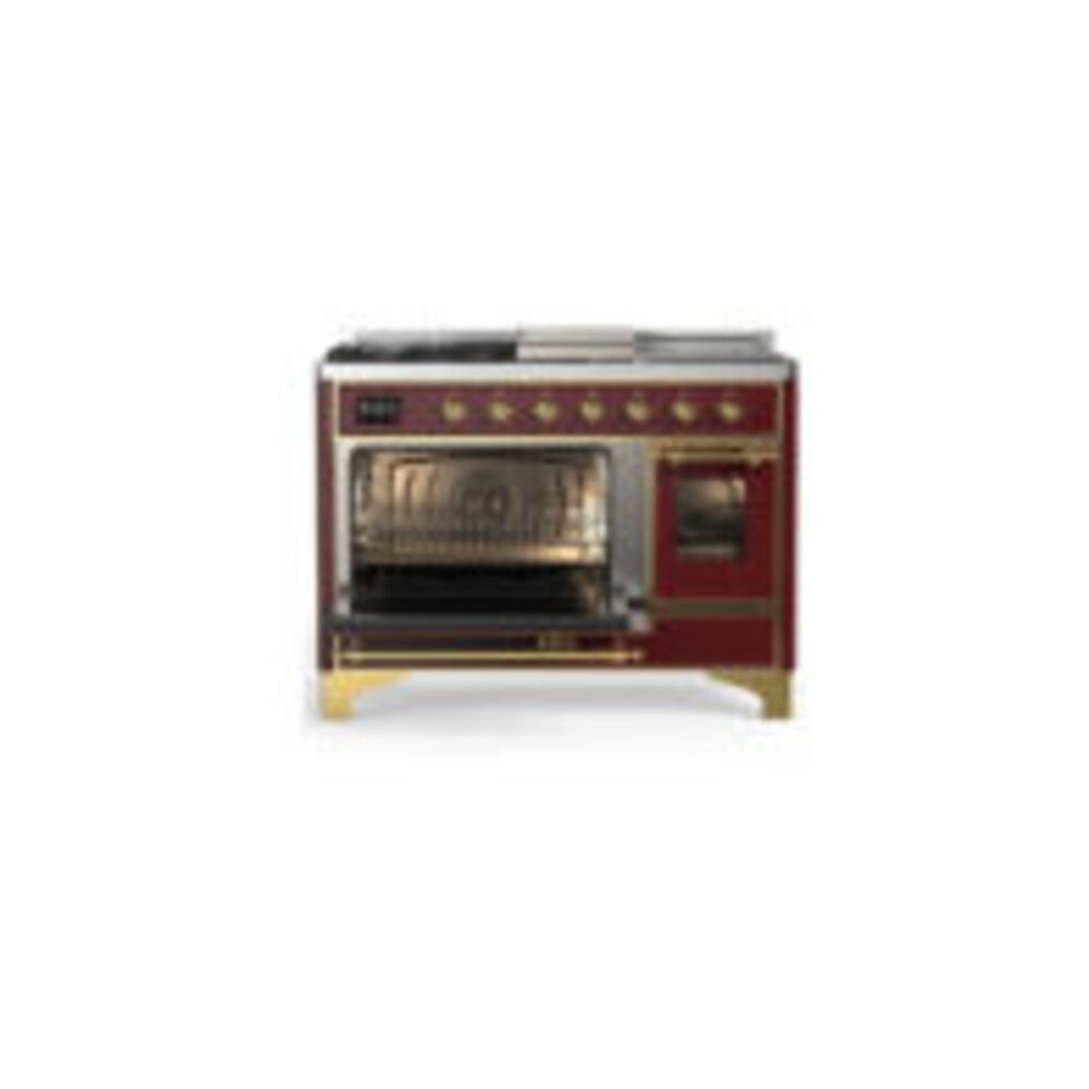 ILVE-UM48FSNR3BUGLP-Primary Oven Open View