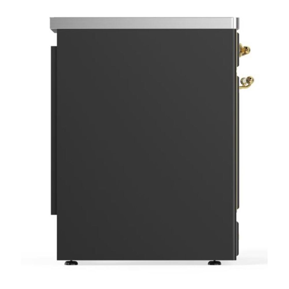 ILVE UMI30QNE3MGG Majestic II 30 inch Induction Range with 4 Elements, 4 cu. ft. Oven Capacity (Solid Door, Graphite Matte, Brass) 9 ILVE_UMI30QNE3MGG_Majestic_II_30"_Induction_Range_Right_Angle