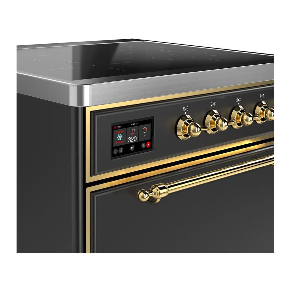 ILVE UMI30QNE3MGG Majestic II 30 inch Induction Range with 4 Elements, 4 cu. ft. Oven Capacity (Solid Door, Graphite Matte, Brass) 6 ILVE UMI30N Majestic II 30 inch Induction Range