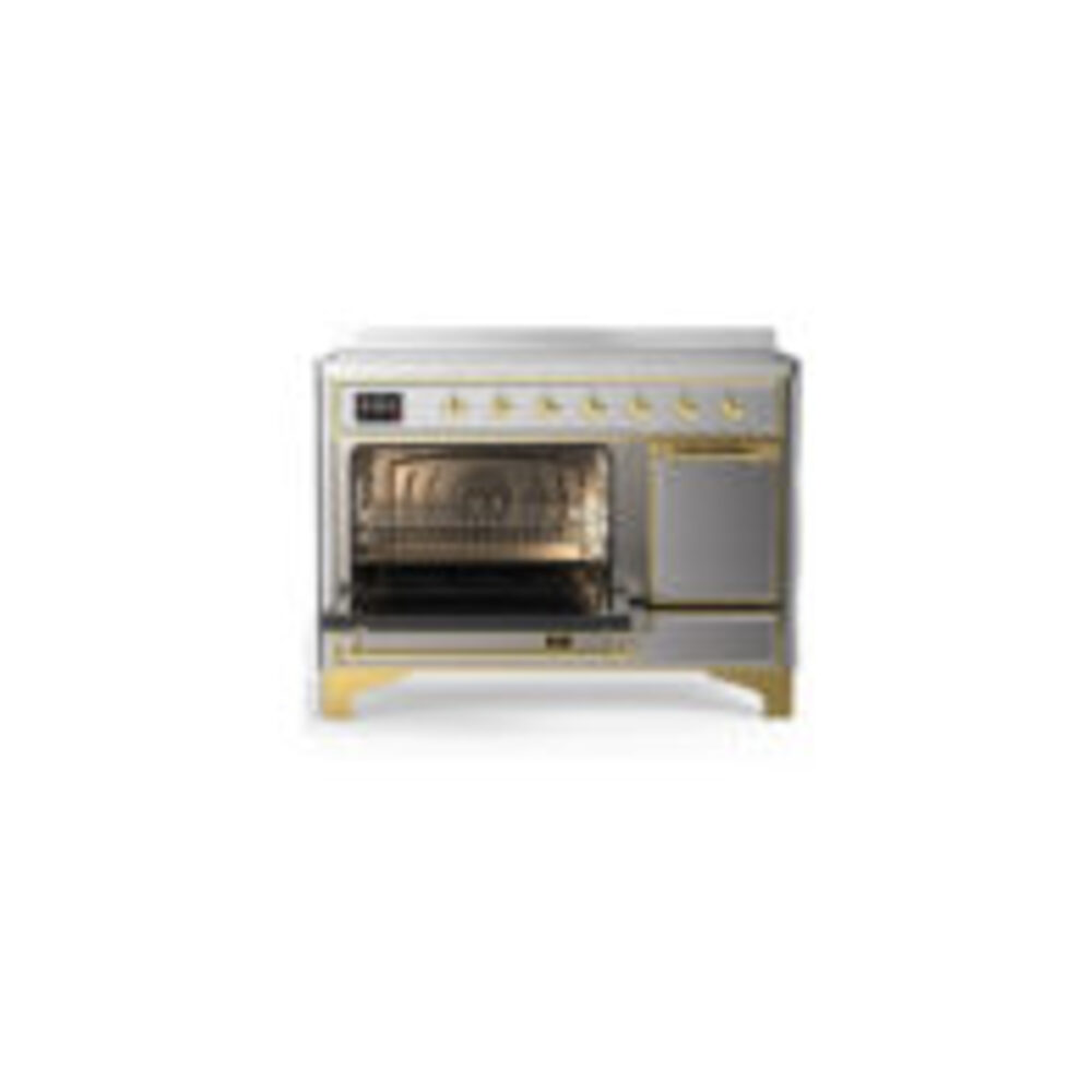 ILVE-UMIB48QNR3SSG-Primary Oven Open View