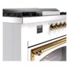 ILVE_UN60FSNMPRAGLP_Nostalgie_II_60"_Dual_Fuel_Range_details