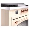 ILVE UP60FSNMPAWPLP Nostalgie II 60" Dual Fuel Range, details