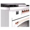 ILVE UP60FSNMPWHP Nostalgie II 60" Dual Fuel Range, details