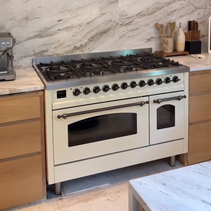 payton 6 e1760541898455